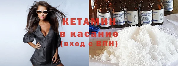 шишки Пересвет