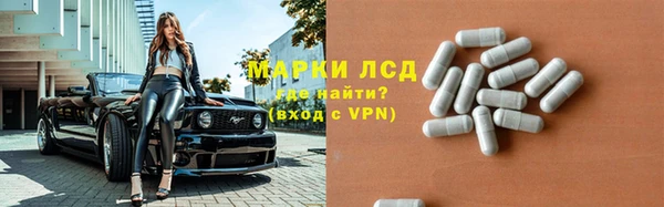 шишки Пересвет