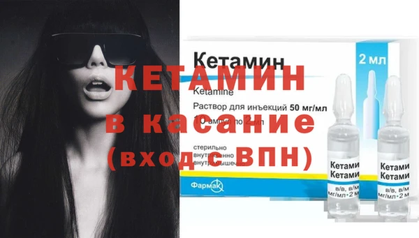 шишки Пересвет
