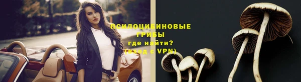 шишки Пересвет