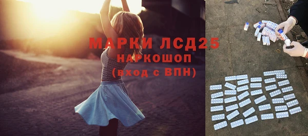 шишки Пересвет