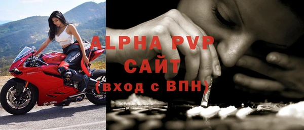шишки Пересвет