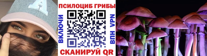 Галлюциногенные грибы Psilocybe  сколько стоит  Сарапул 