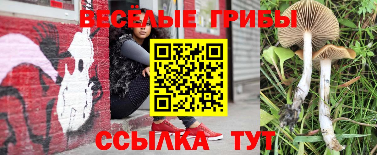 Галлюциногенные грибы Psilocybe Сарапул