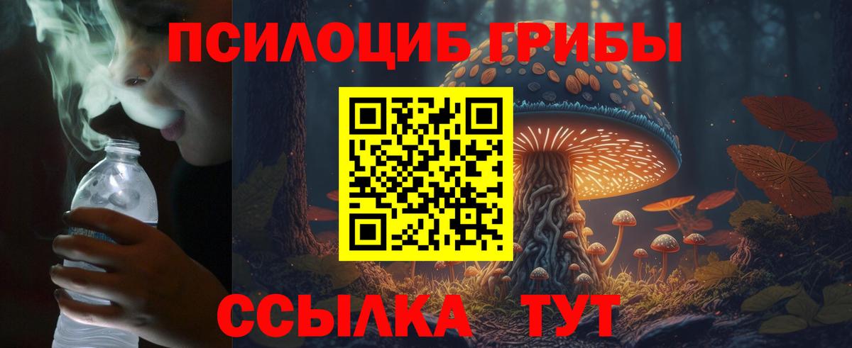 Сарапул  Псилоцибиновые грибы GOLDEN TEACHER  Вход с VPN  Галлюциногенные грибы Psilocybe 
